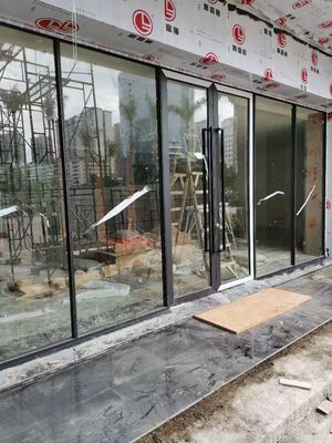 Energy Efficient Aluminum Swing Door with Fluorocarbon Coating and Multi-point Locking