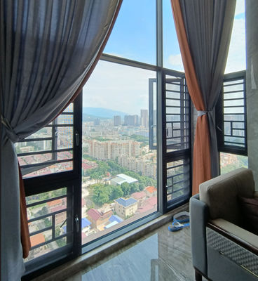 Modern Aluminum Swing Window with 5 Years Warranty Waterproof and Wind Resistance Features