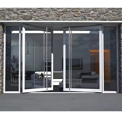 4-12mm Double Glazing Aluminum Pivot Door with Clear Glass and Stainless Steel Screen Netting Material