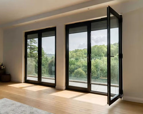 Custom Design Aluminum Swing Door with 10 Years Warranty for Easy Installation