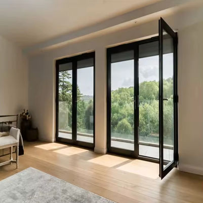 Heavy Duty Aluminum Swing Door with 2.0-3.0mm Profile Thickness Easy Maintenance Anodizing