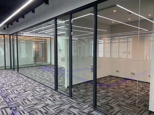 Customized Aluminum Glass Swing Door with Tempered Clear Glass Double Tempered Glass and 10-year Warranty