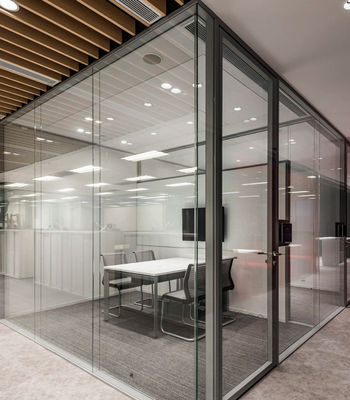 Customized Size Aluminum Swing Door with Low-E Glass and Double Glazing for Enhanced Insulation and 10-Year Warranty