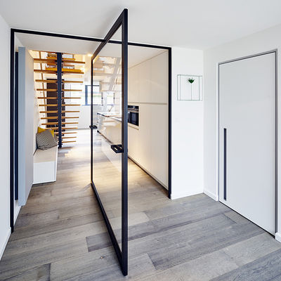 Modern Design Aluminum Alloy Commercial Pivot Door with 10 Years Warranty