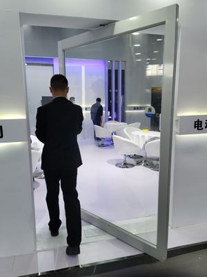 Slim Frame Aluminum Pivot Door Tempered Clear Glass Entrance Pivot Door