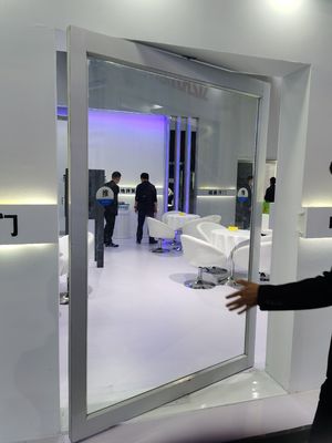 Slim Frame Aluminum Pivot Door with Tempered Clear Glass and 10 Years Warranty