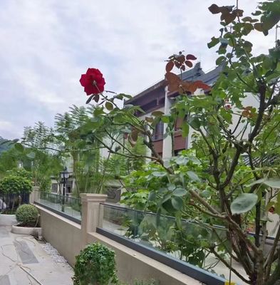 Customized 36''/42'' Height Aluminum U Channel Glass Railing with Clear/Frosted/Tinted Glass and More than 5 Years Warranty