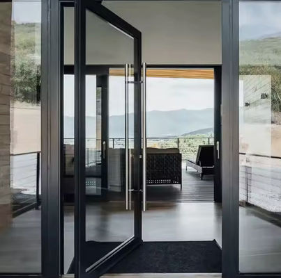 Y/N Insect Screen Aluminum Swing Door with Double Tempered Clear Glazing and Magnetic Lock