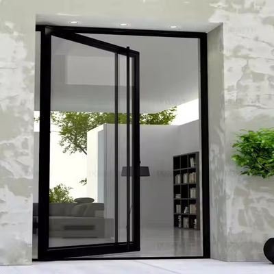 4-12mm Double Glazing Aluminum Pivot Door with Clear Glass and Stainless Steel Screen Netting Material
