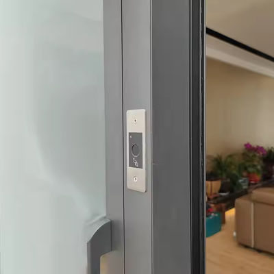Stainless Steel Internal Aluminum Pivot Door with Clear Glass and 1.8mm Frame Thickness