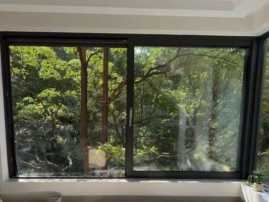 Customized Double Glazing Black Frame Aluminium Sliding Sash Windows