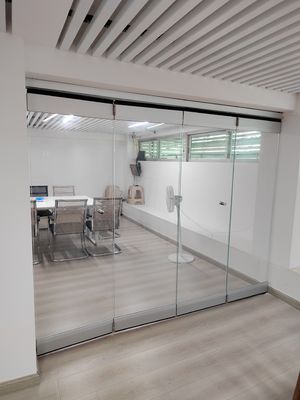 Fluorocarbon Spraying Aluminum Folding Door with Tempered Glass and Customized Size